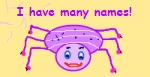 Spider- Purple
