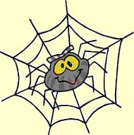 Spider in Web Spider in Web